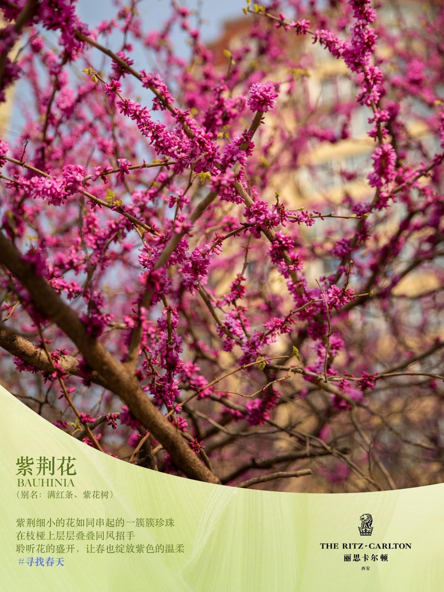 The Ritz-Carlton, Xi'An Hotel Hszian Kültér fotó